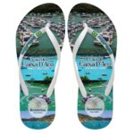 Sem nome (1000 x 1000 px) (1000 x 1000 px) (1000 x 1000 px) (1000 x 1000 px) (1000 x 1000 px) (1000 x 1000 px) (1000 x 1000 px) (1000 x 1000 px) (1000 x 1000 px) (1000 x 1000 px) (1000 x 1000 px) (5)